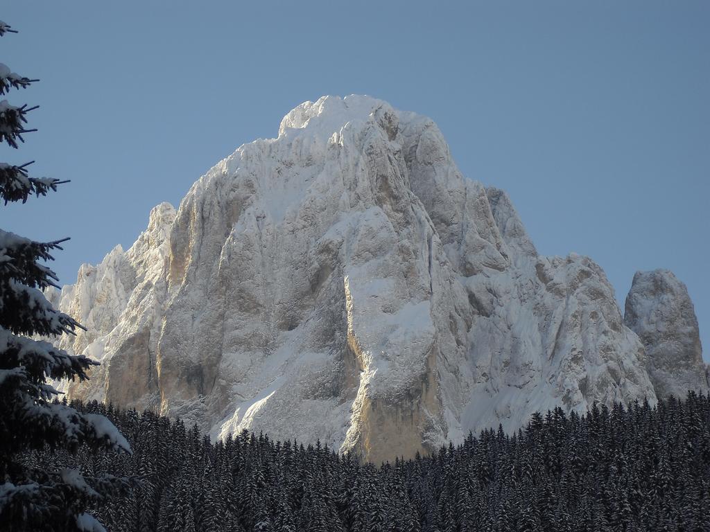 Bed and Breakfast Garni Tramans Selva di Val Gardena Esterno foto